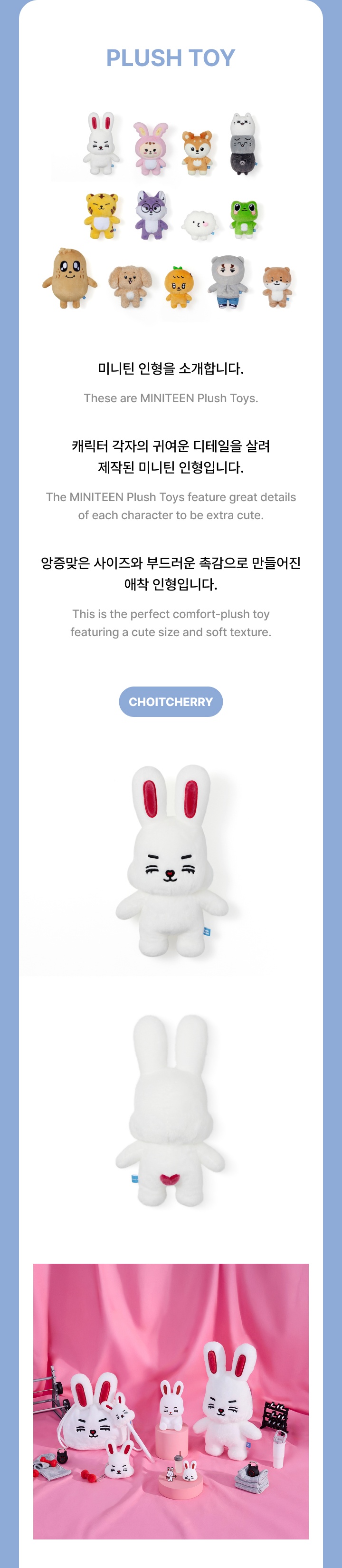 SEVENTEEN MINITEEN PLUSH TOY