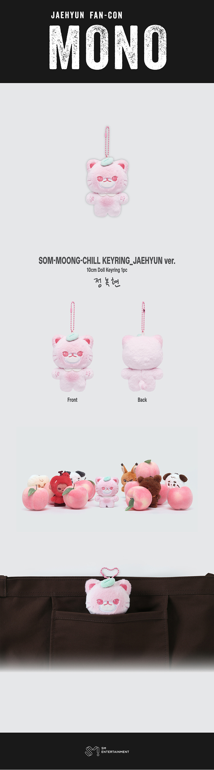 JAEHYUN SOM MOONG CHILL KEYRING JAEHYUN 2026 FAN CON TOUR MONO